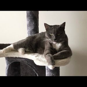 Meet your Posher, Bonnie